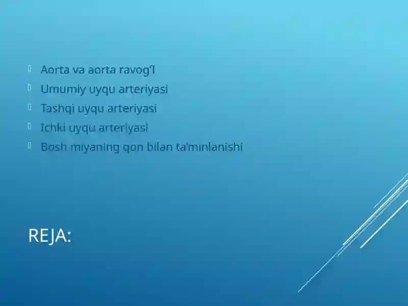 Aorta va aorta ravogi 2