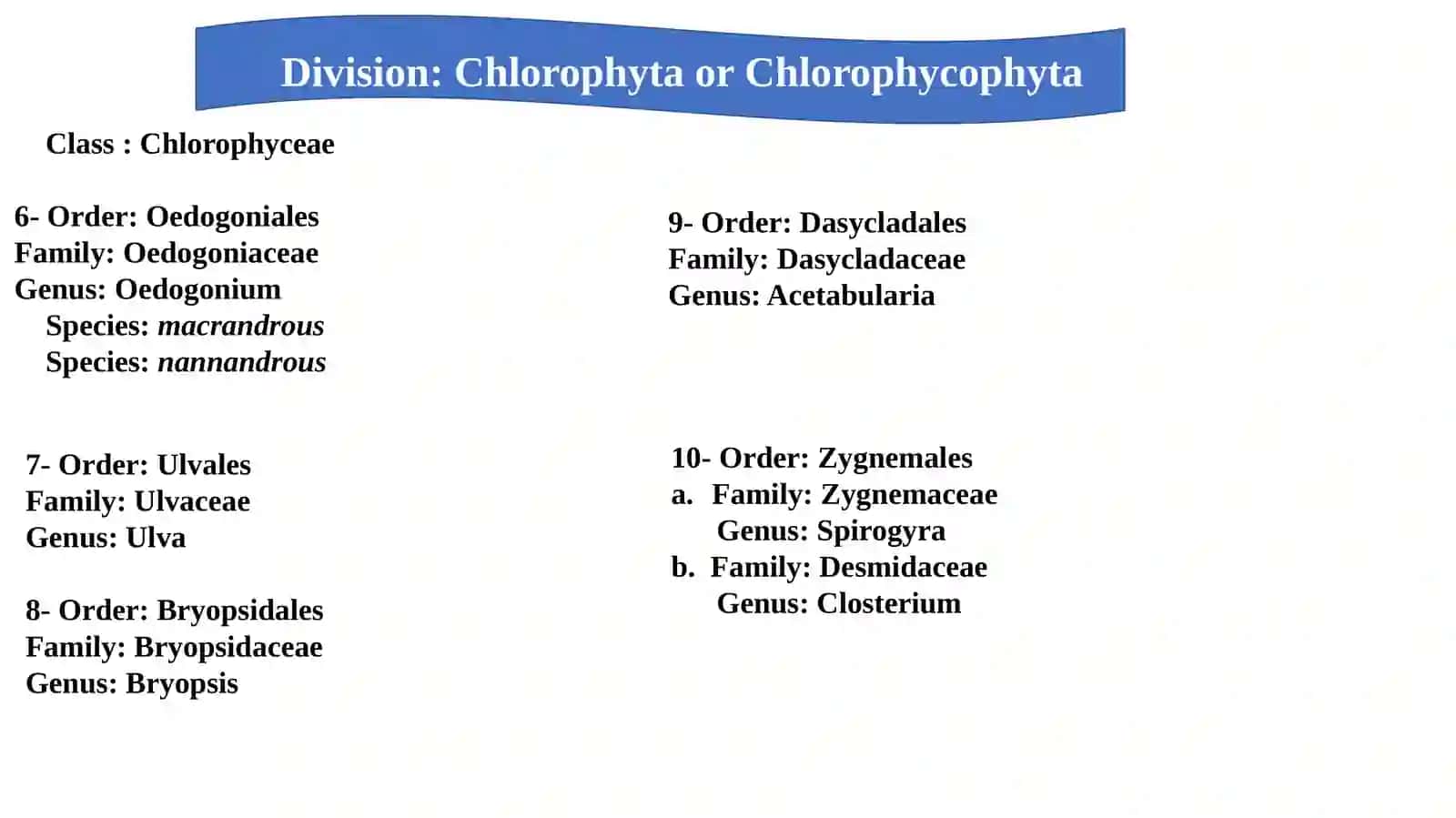 Practical Plant Groups Lab. 4 2