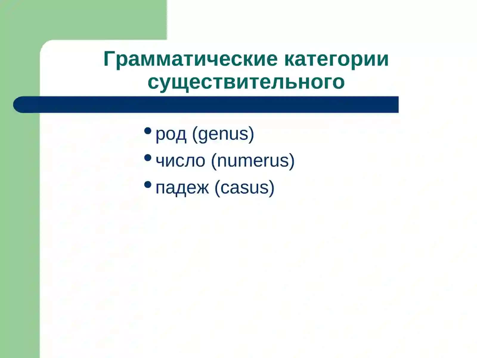 ИМЯ СУЩЕСТВИТЕЛЬНОЕ 2