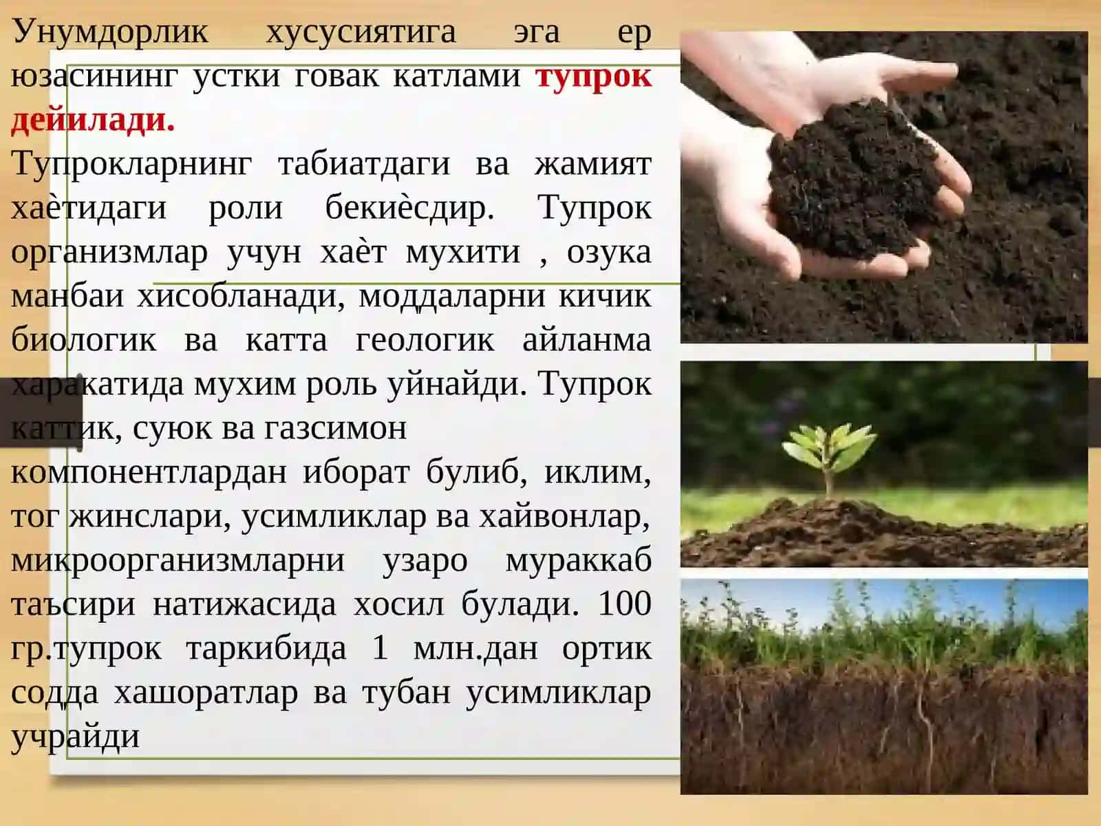ТУПРОҚНИ ИФЛОСЛАНИШИДАН ХИМОЯ ҚИЛИШ 2
