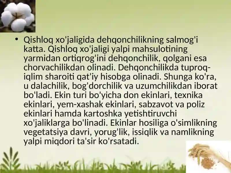 DEHQONCHILIK 2