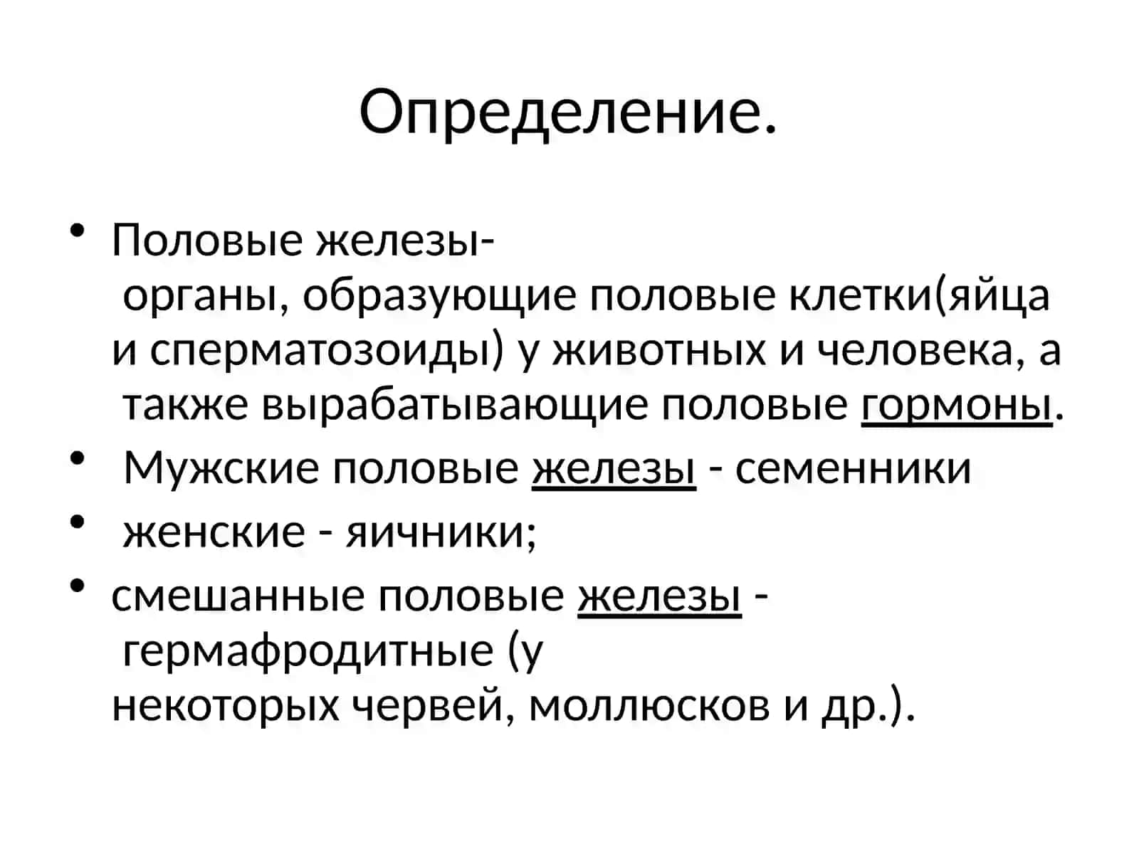 Половые железы 2