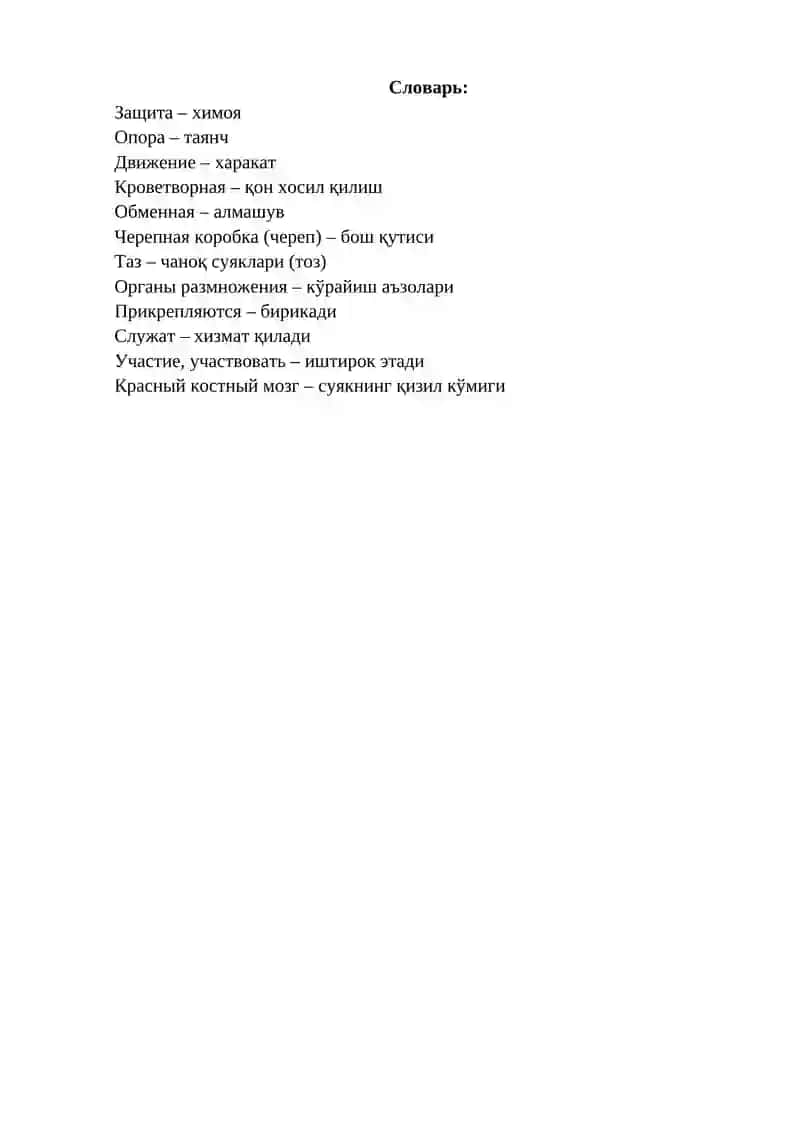 ФУНКЦИИ ОПОРНО-ДВИГАТЕЛЬНОГО АППАРАТА 2