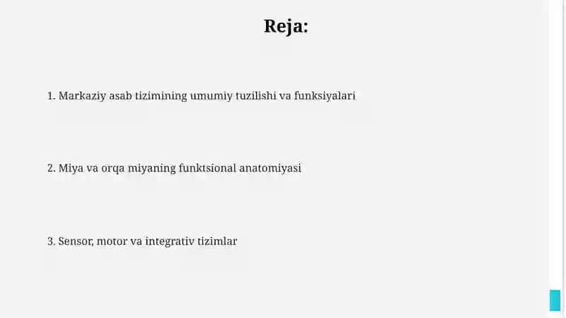 Markaziy nerv tizimining funktsional anatomiyasi 2