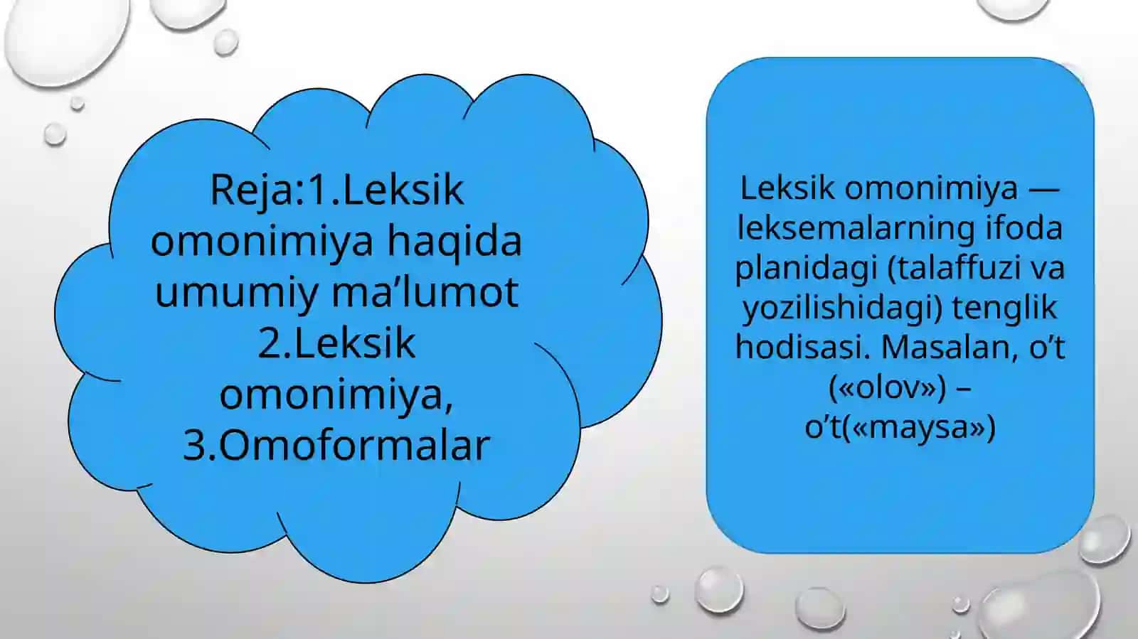 Leksik omonimiya yuzasidan mashqlar bajarish 2