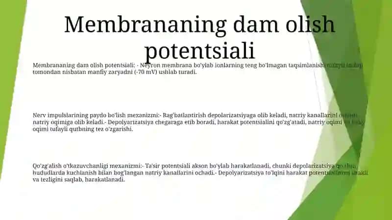 Neryonlarda Nerv Impulslarining Hosil Bo'Lishi Mexanizmlari 2