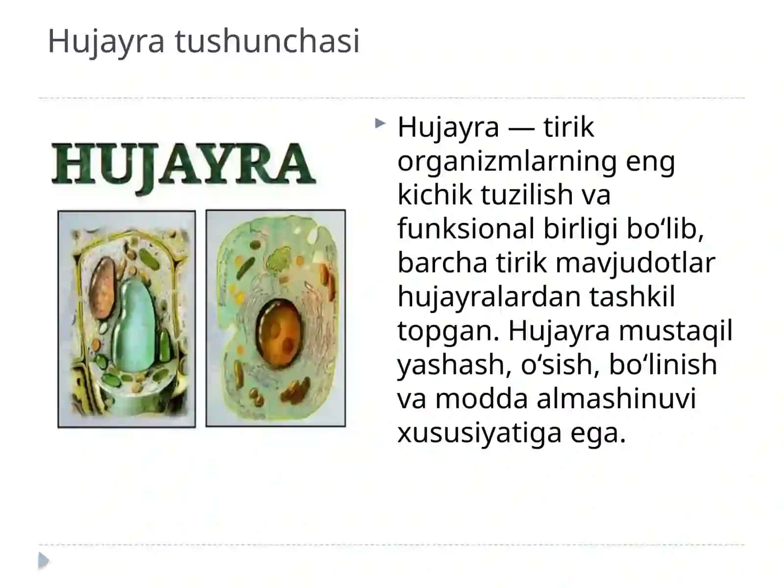 Hujayra tushunchasi 2