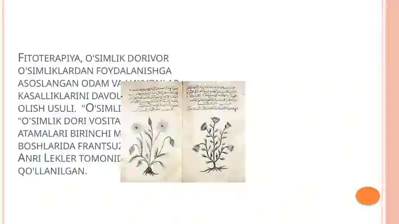 FITOPREPARATLAR VA ULARNING QO’LLANISHI 2