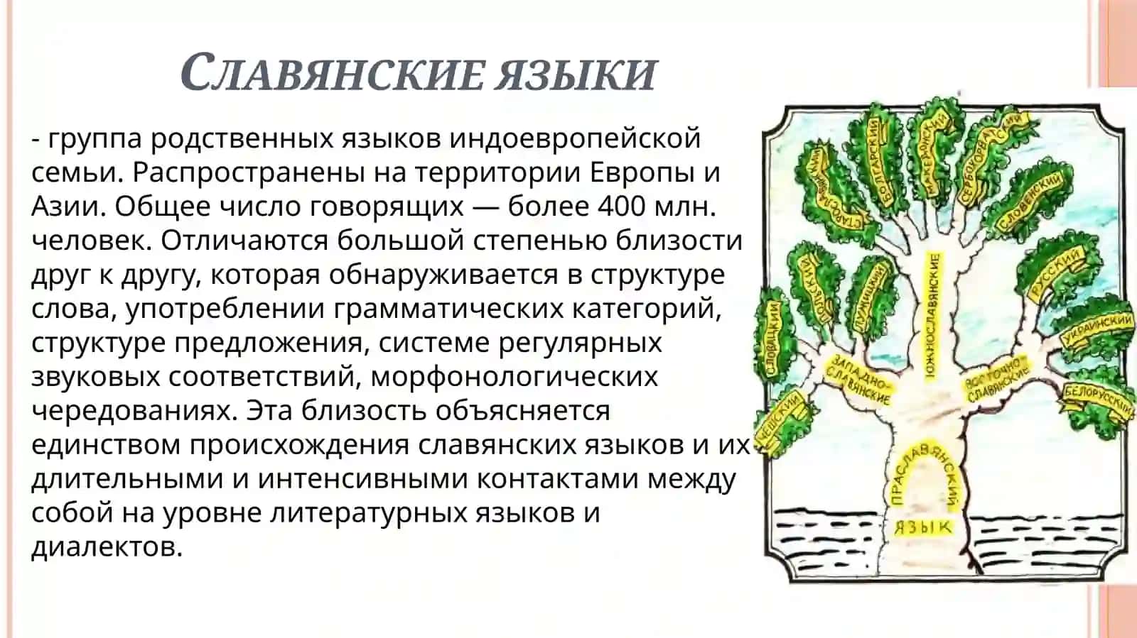 СОВРЕМЕННЫЕ СЛАВЯНСКИЕ ЯЗЫКИ 2