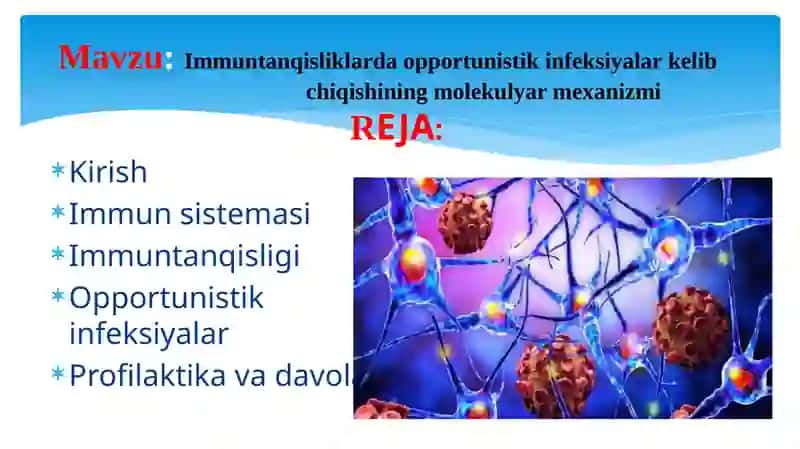 Immuntanqisliklarda opportunistik infeksiyalar 2