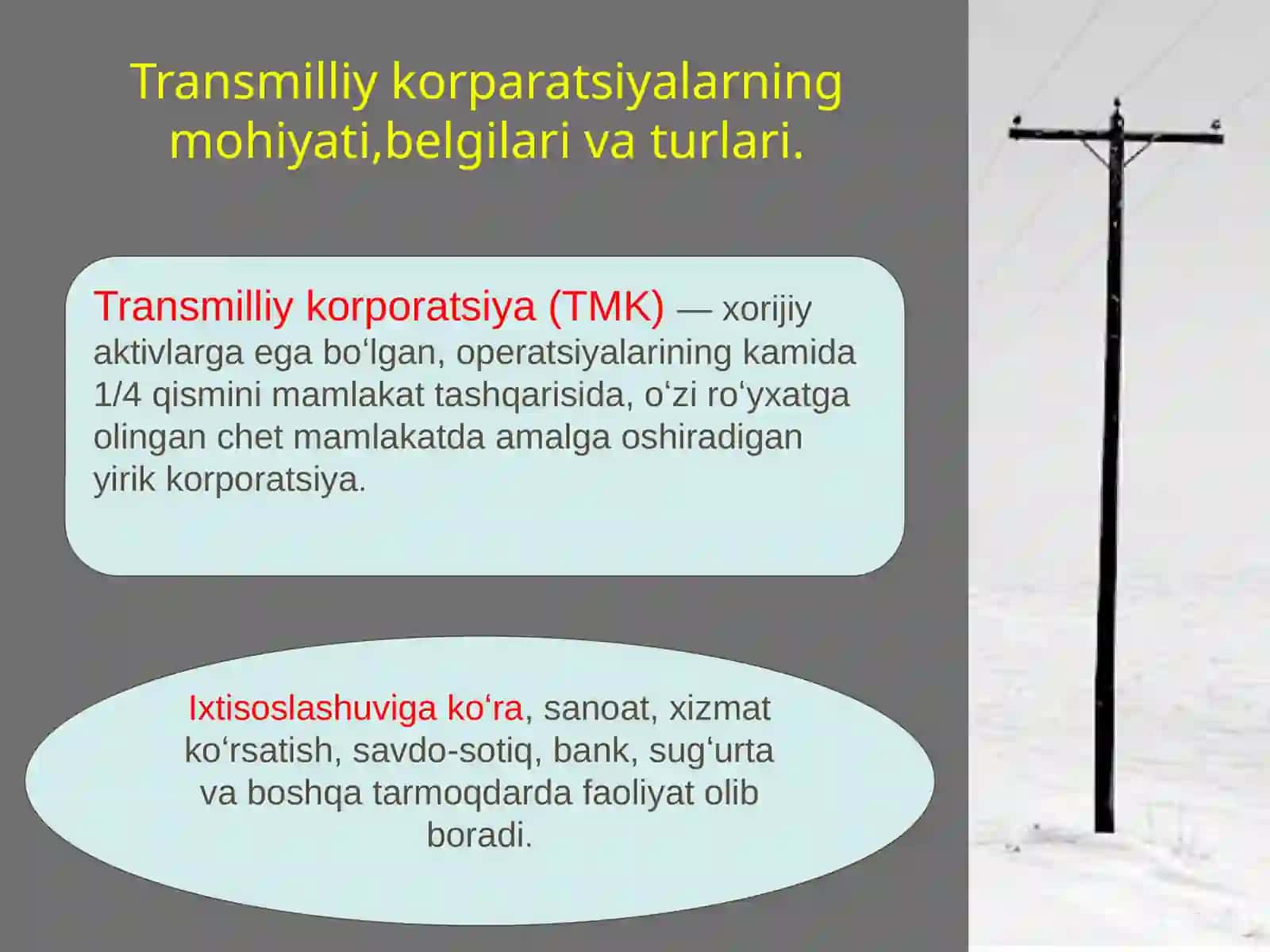 Glaballashuv sharoiti da transmilliy korparatsiyalar 2