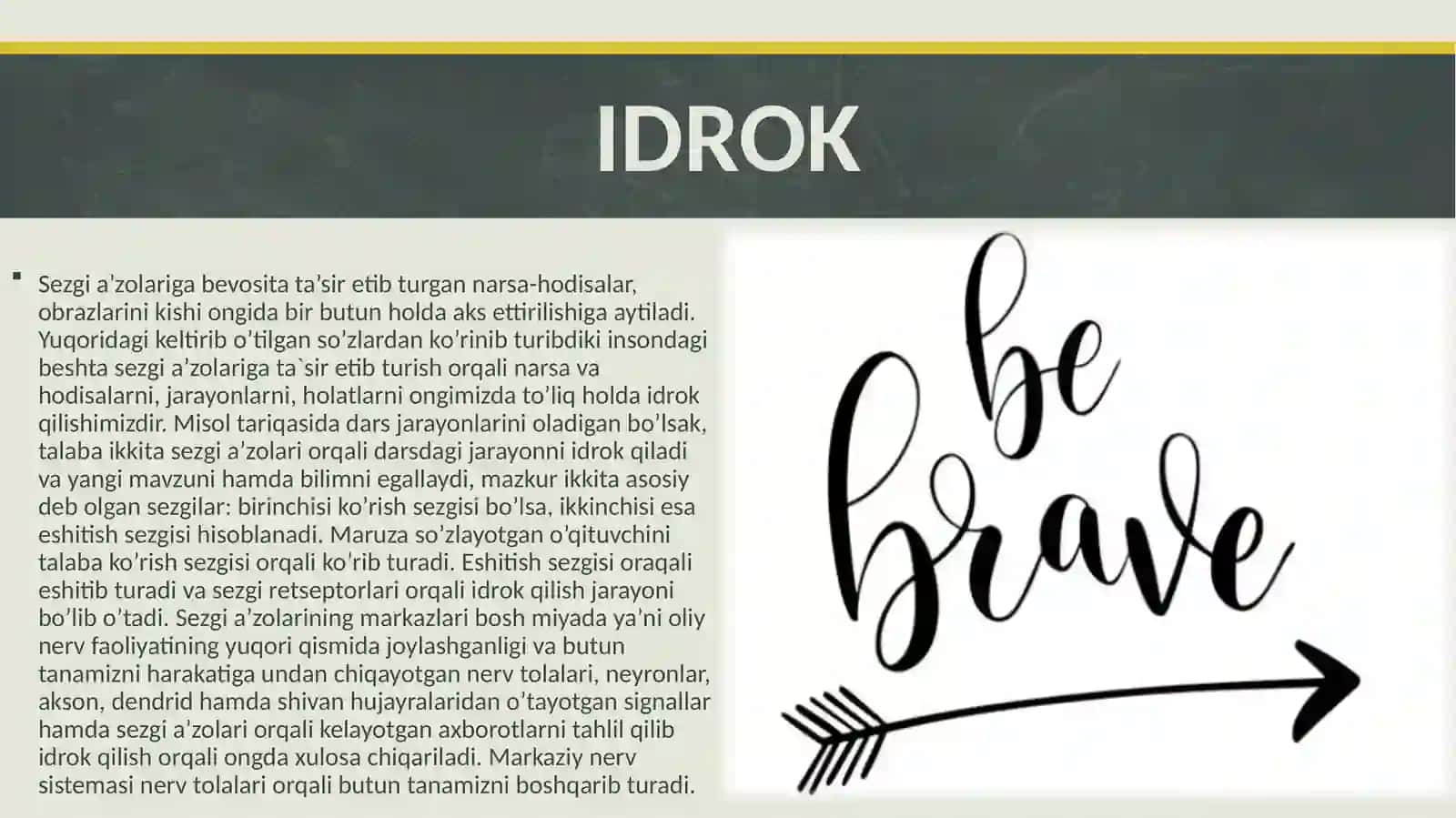 IDROK 2