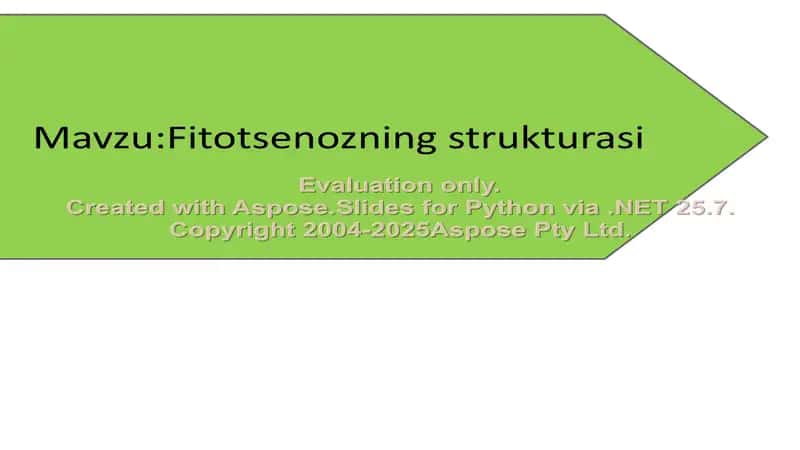 Fitotsenozning Strukturasi 2
