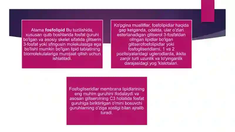 Fosfolipidlar 2