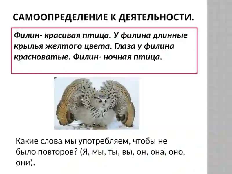 Личные местоимения 2