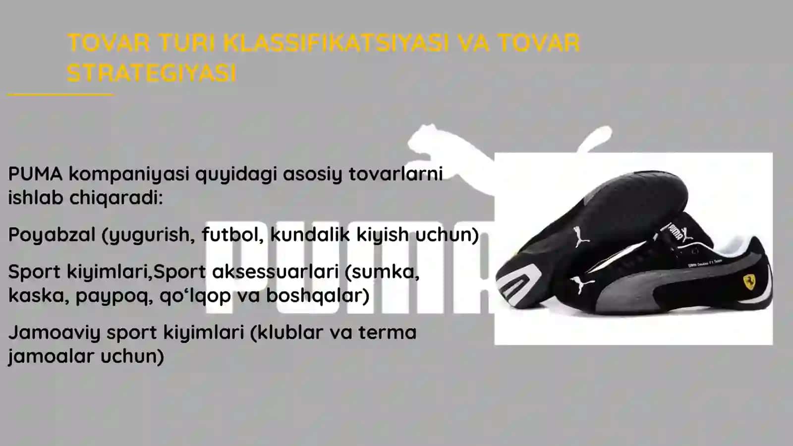 Puma kompaniyasi haqida qisqacha ma'lumot 2