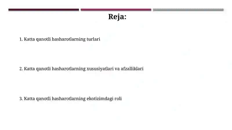 Katta qanotli hasharotlar 2
