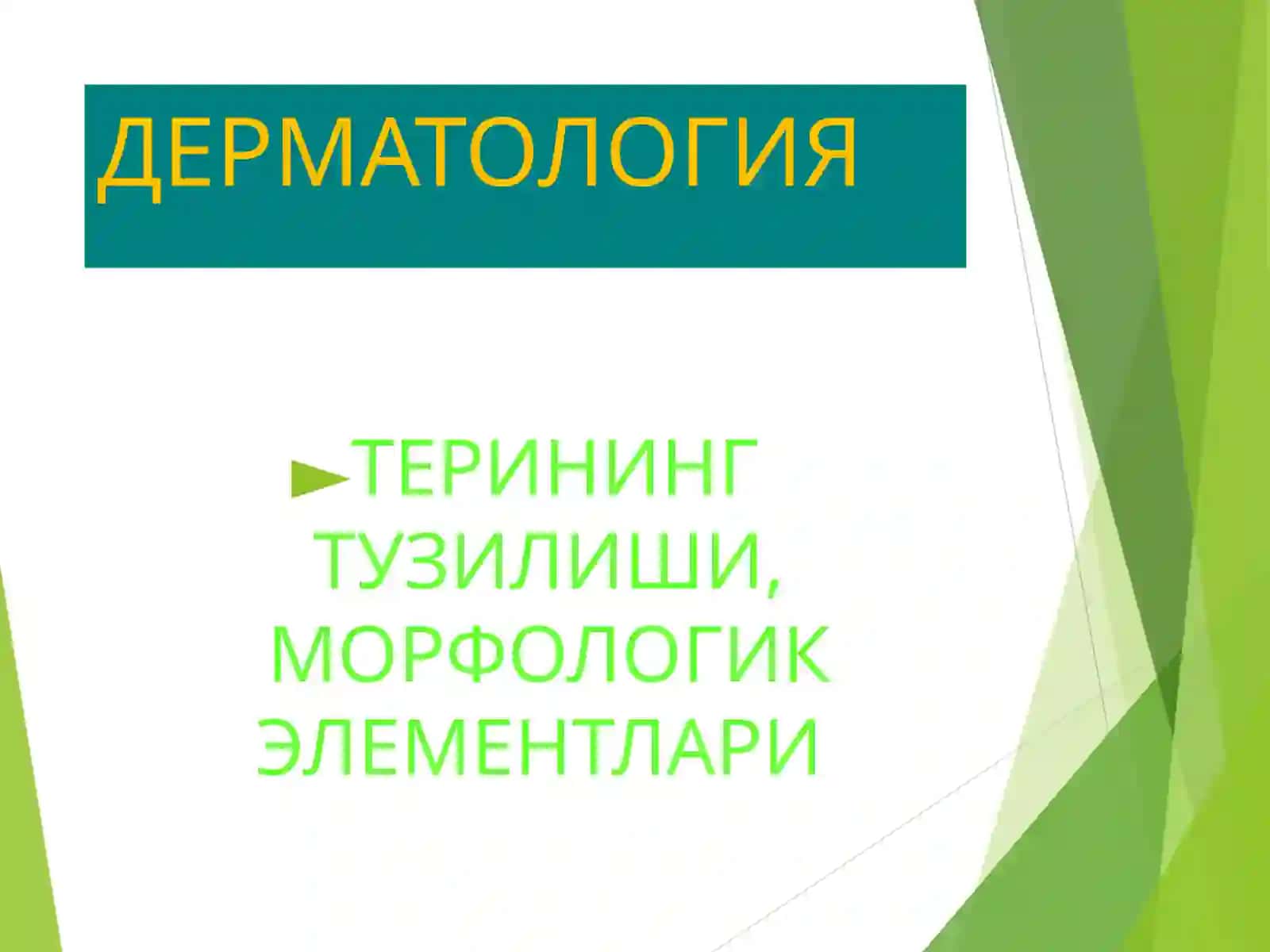 ТЕРИНИНГ ТУЗИЛИШИ, МОРФОЛОГИК ЭЛЕМЕНТЛАРИ 2