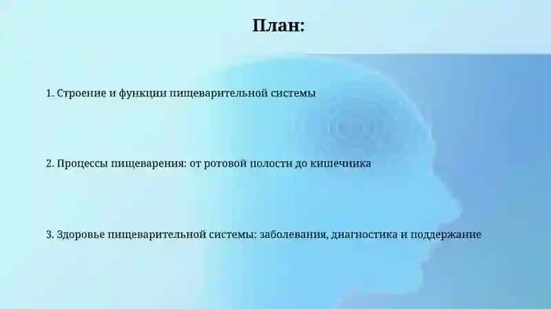 СистемаПищеварения 2