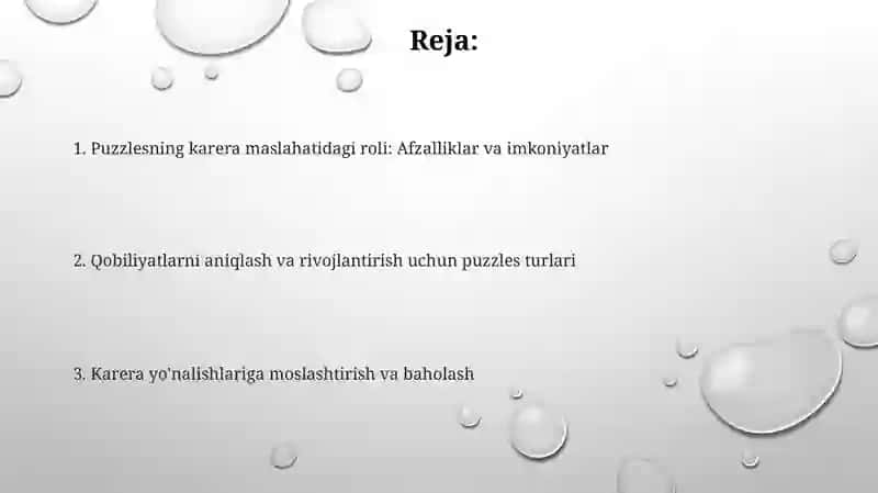 Puzzlesning karera maslahatidagi roli 2
