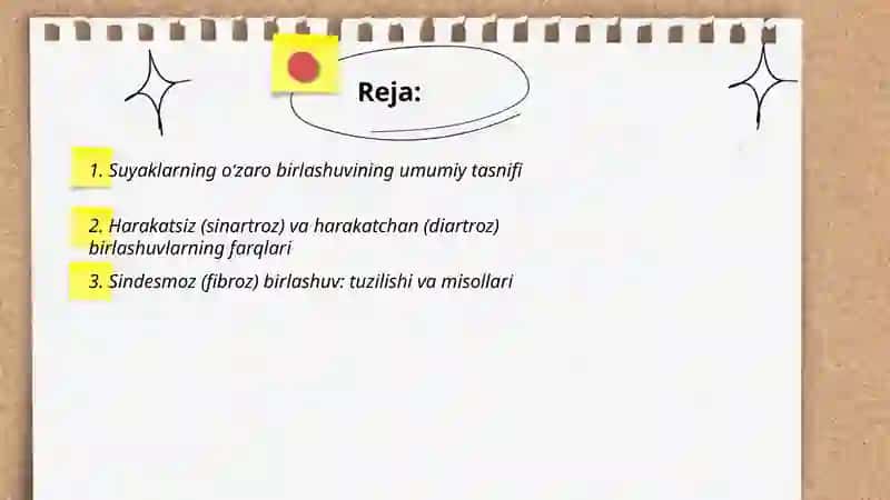 Suyaklarning oʻzaro birlashuvi 2