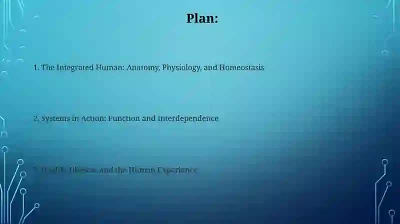 Human organism 2