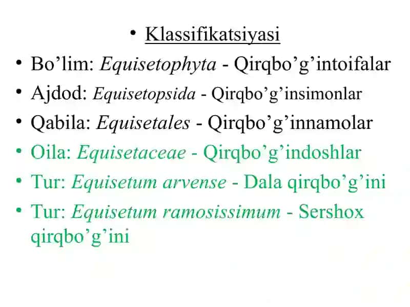 QIRQBO’G’IMDOSHLAR VA LAVRDOSHLAR OILALARI 2