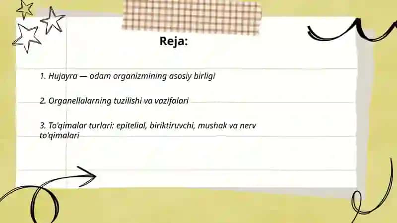 Odam organizmining tuzilishi 2