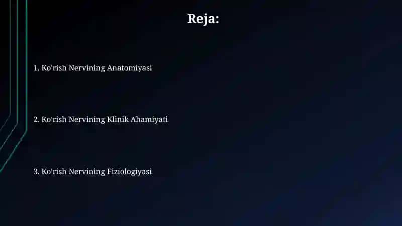 Ko'rish Nervi 2