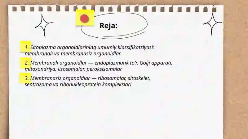 Sitoplazma organoidlarining klassifikatsiyasi 2