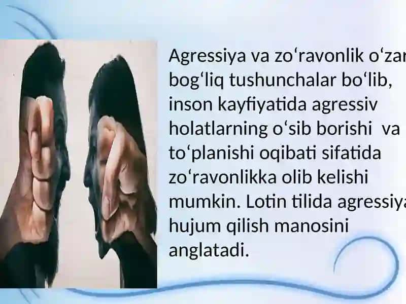Agressiya va zo'ravonlik 2