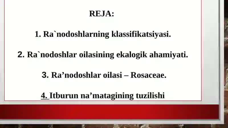 Raʼnodoshlar oilasi (Rosaceae) 2