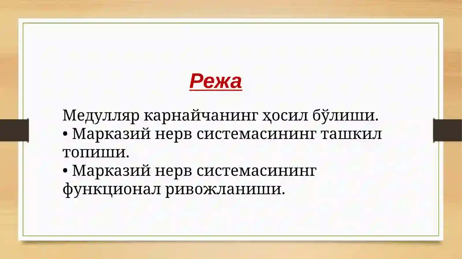 Асаб системасининг онтогенези 2