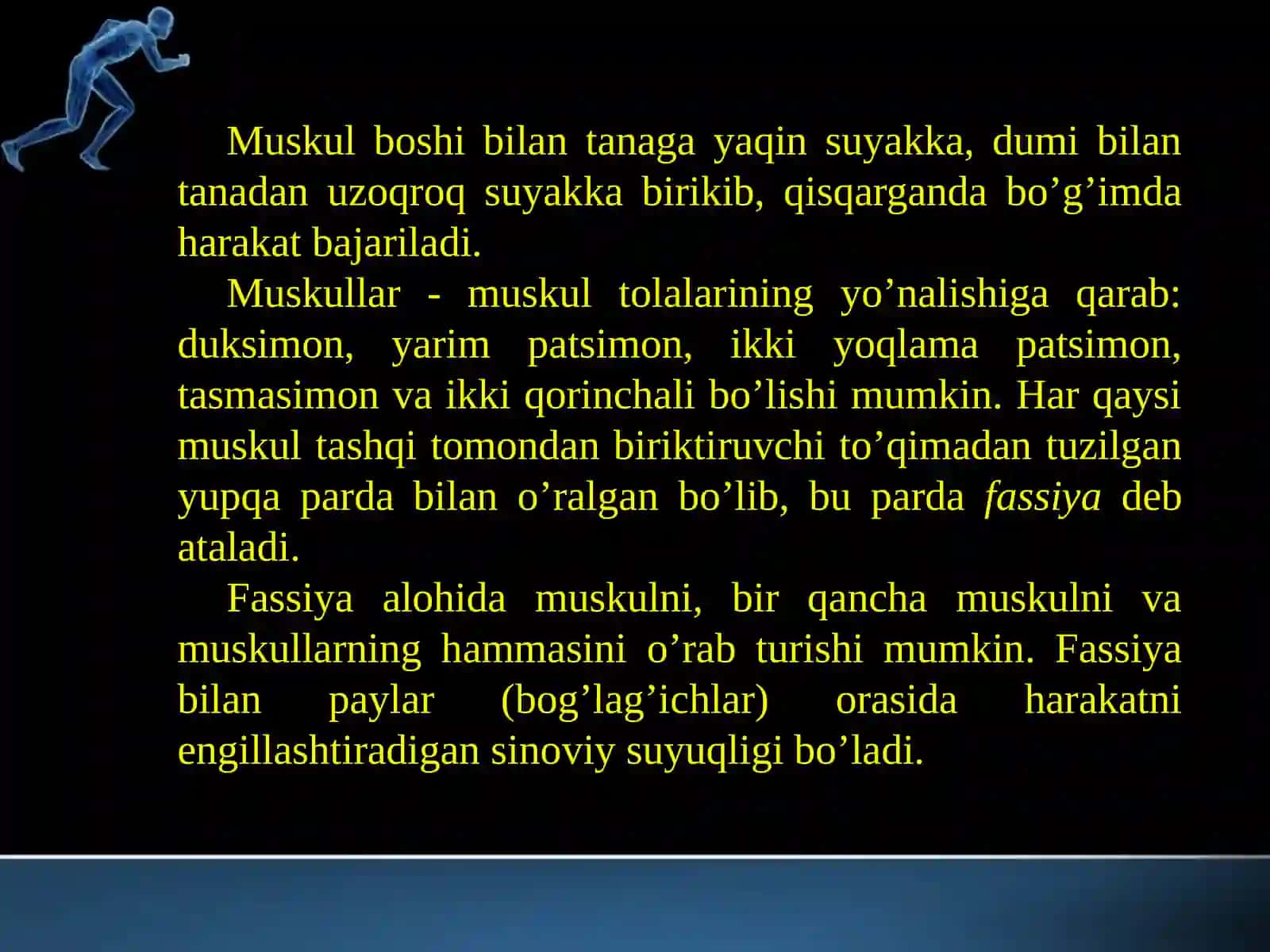 Qo’l va oyoq muskullarining tuzilishi 2