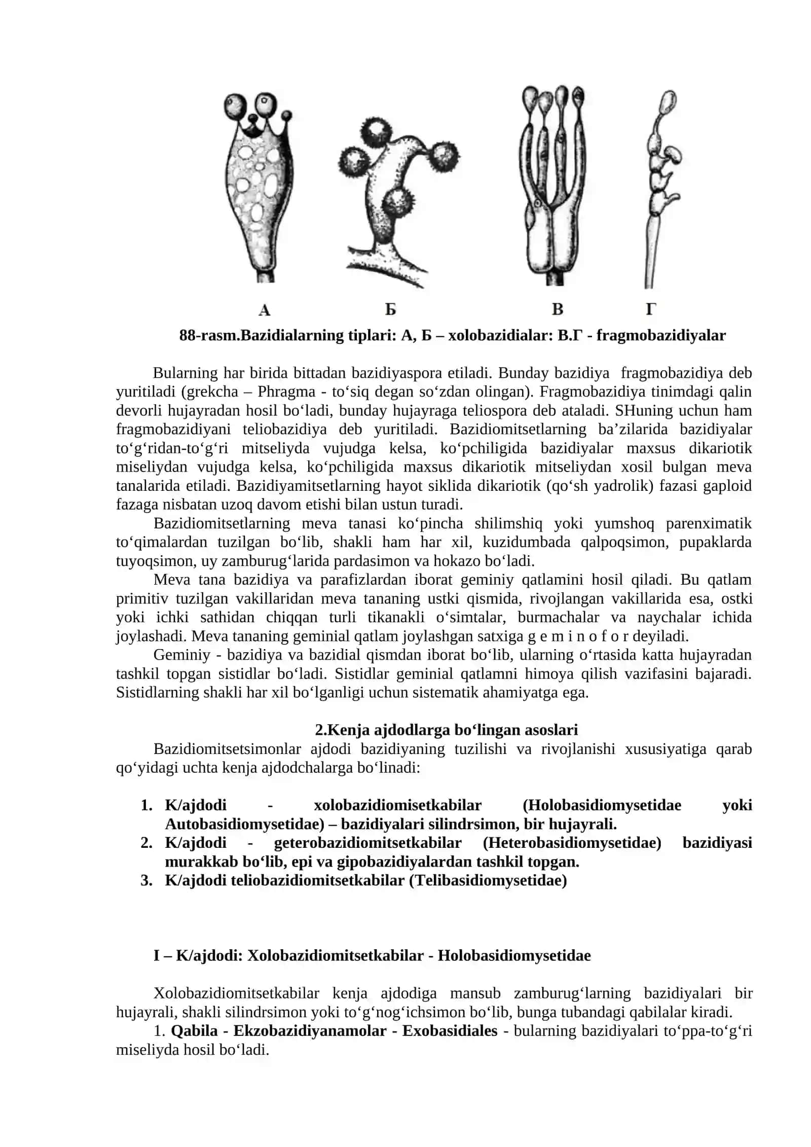 Bazidiomitsimonlar Ajdodi-Basidiomytestes 2