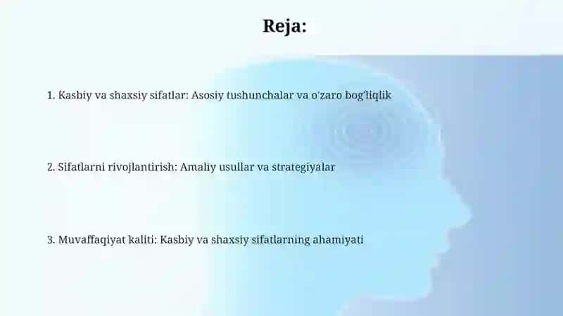 Professional va shaxsiy sifat kompotentlari 2