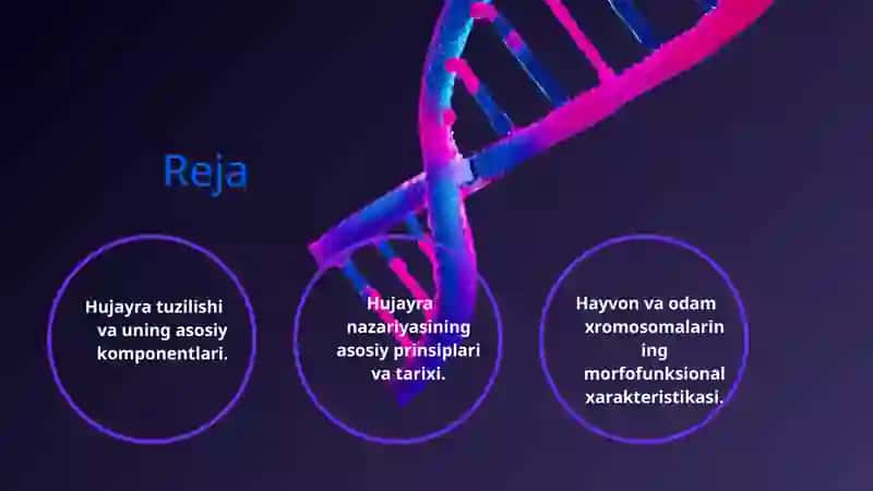 Hujayra tuzilishi. Hujayra nazariyasi. Hayvon va odam xromosomalarining morfofunksional xarakteristikasi. 2