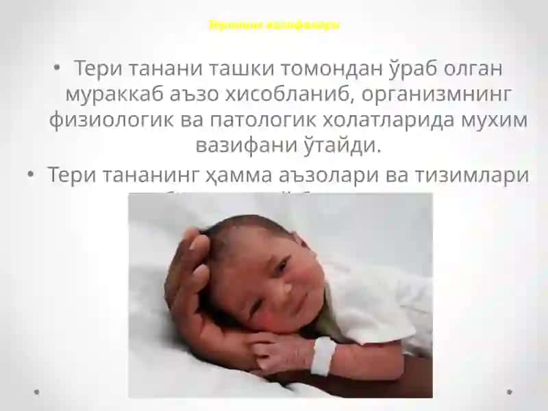 Терининг вазифалари 2