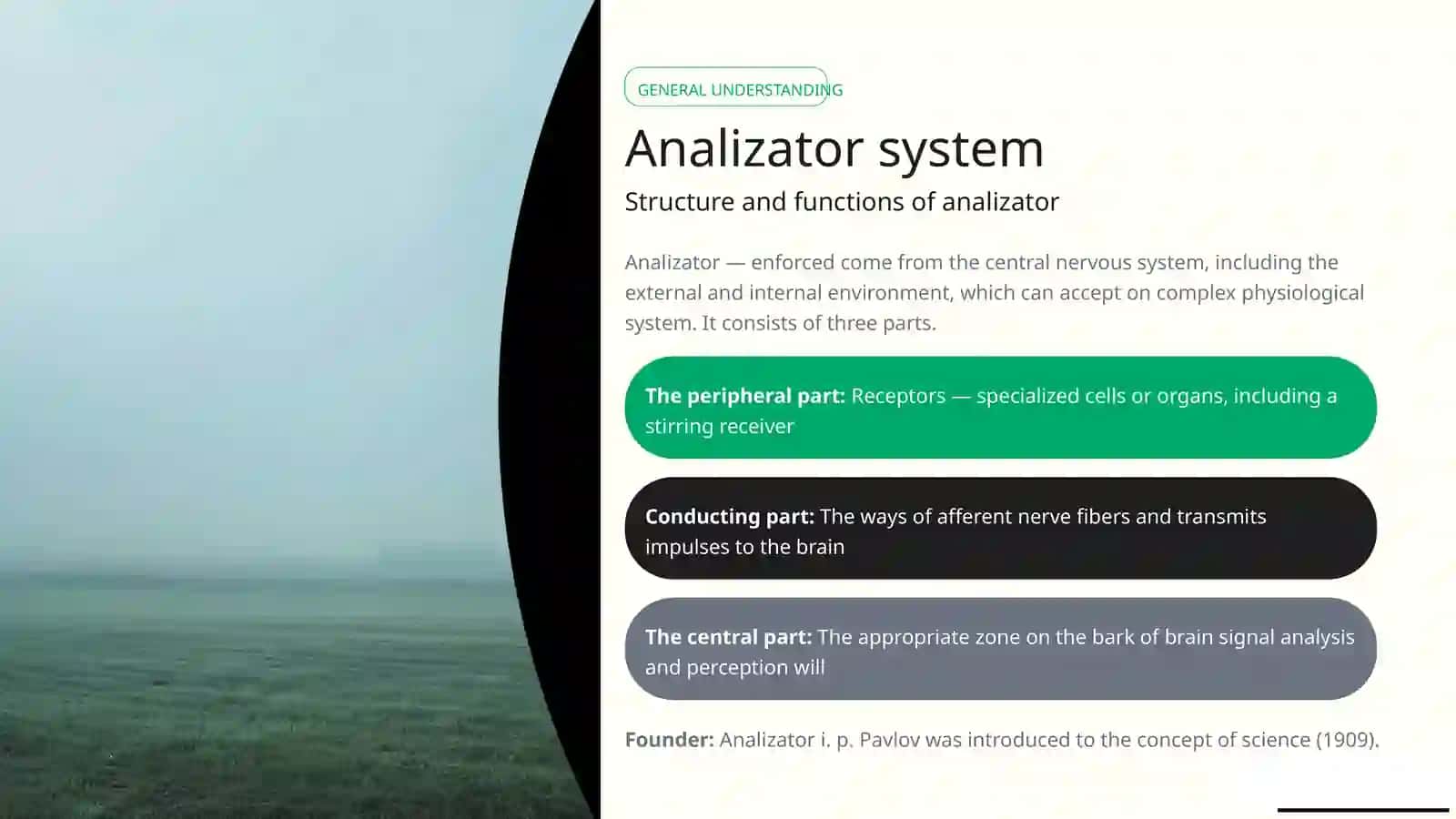 Analizator system 2