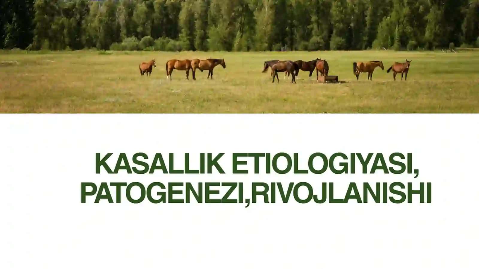 KASALLIK ETIOLOGIYASI, PATOGENEZI, RIVOJLANISHI 2
