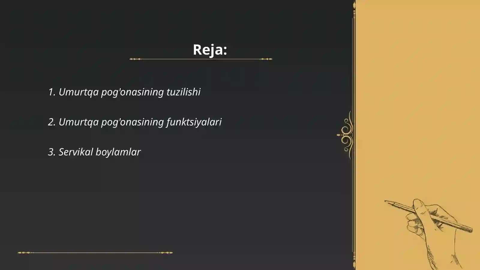 Umurtqa pogo'nasi boylamlari 2
