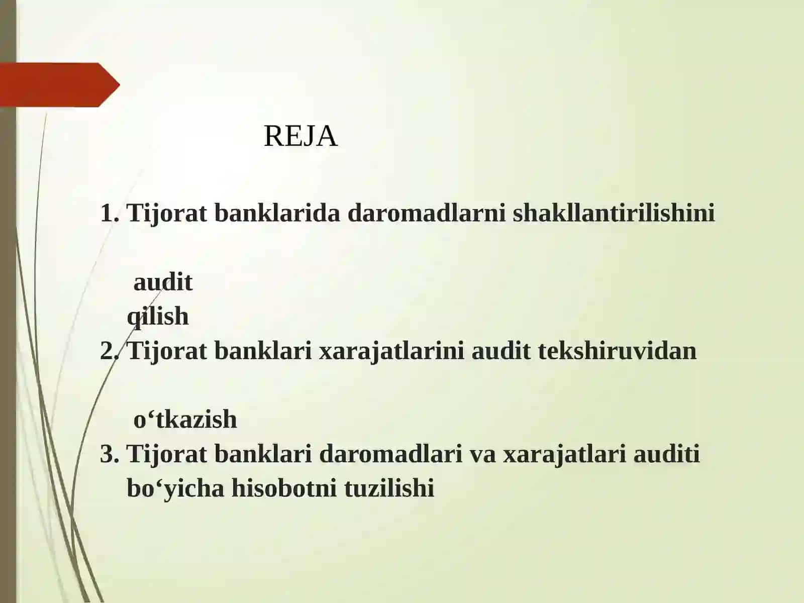 Tijorat Banklari Daromadlari, Xarajatlari va Foydasi Auditi 2