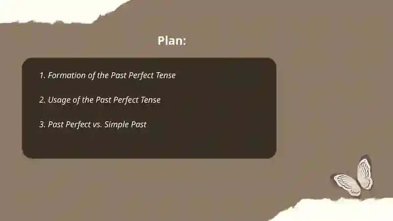 Past perfect tense 2