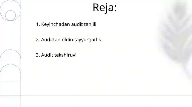 Soliq tekshiruvi 2