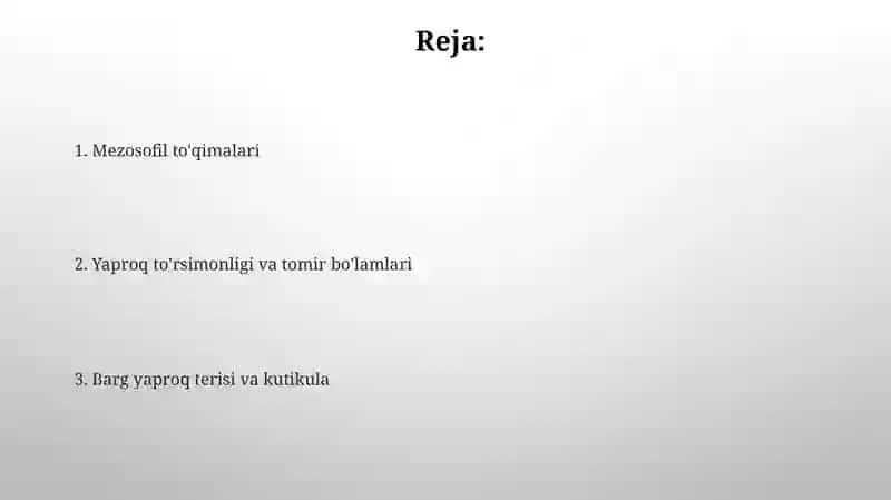 Barglarni tuzilishi 2