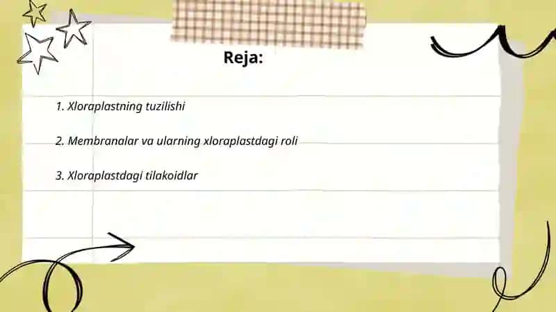 Xloraplastning tuzilishi 2