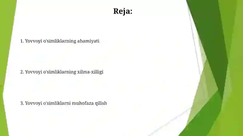 Jag' jag' o'simligi 2