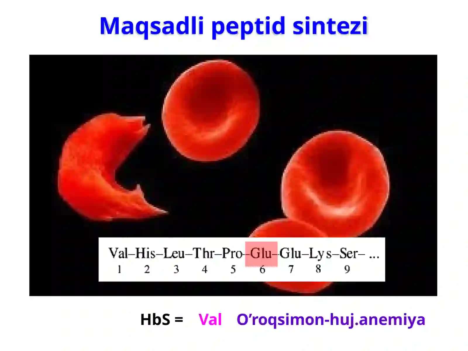 Peptid  sintezi 2