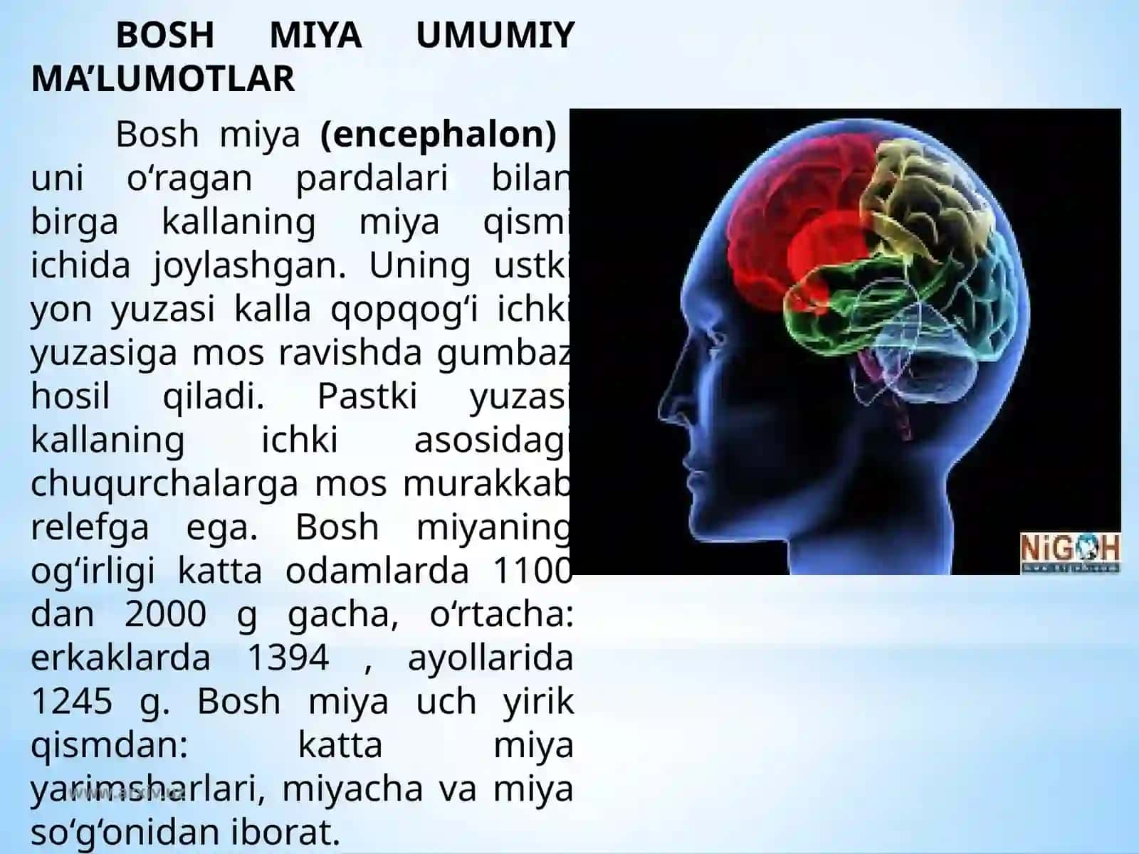 Boshvaorqamiyatuzulishi 2