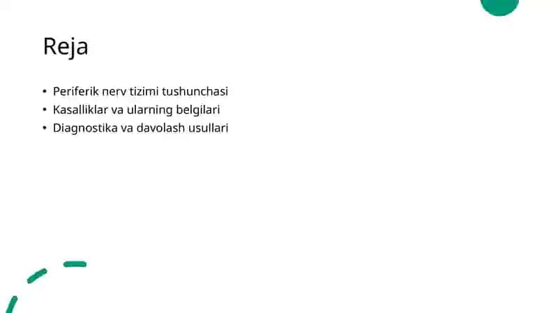 Periferik nerv tizimi 2